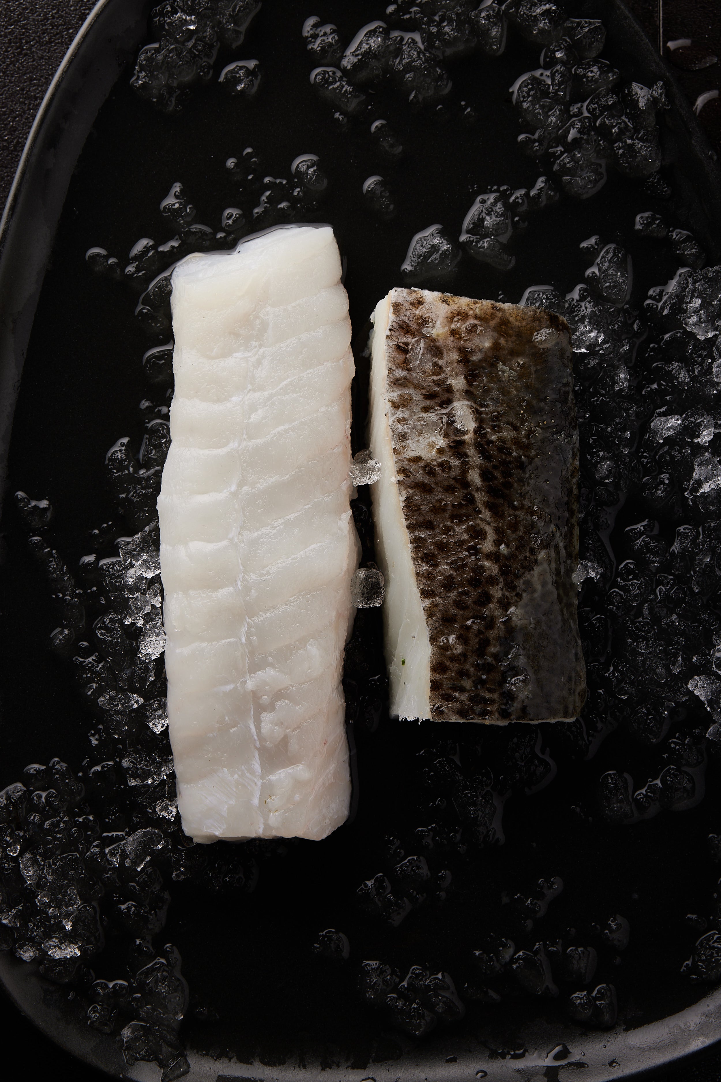Atlantic Cod - Tempus SeafoodSpecies