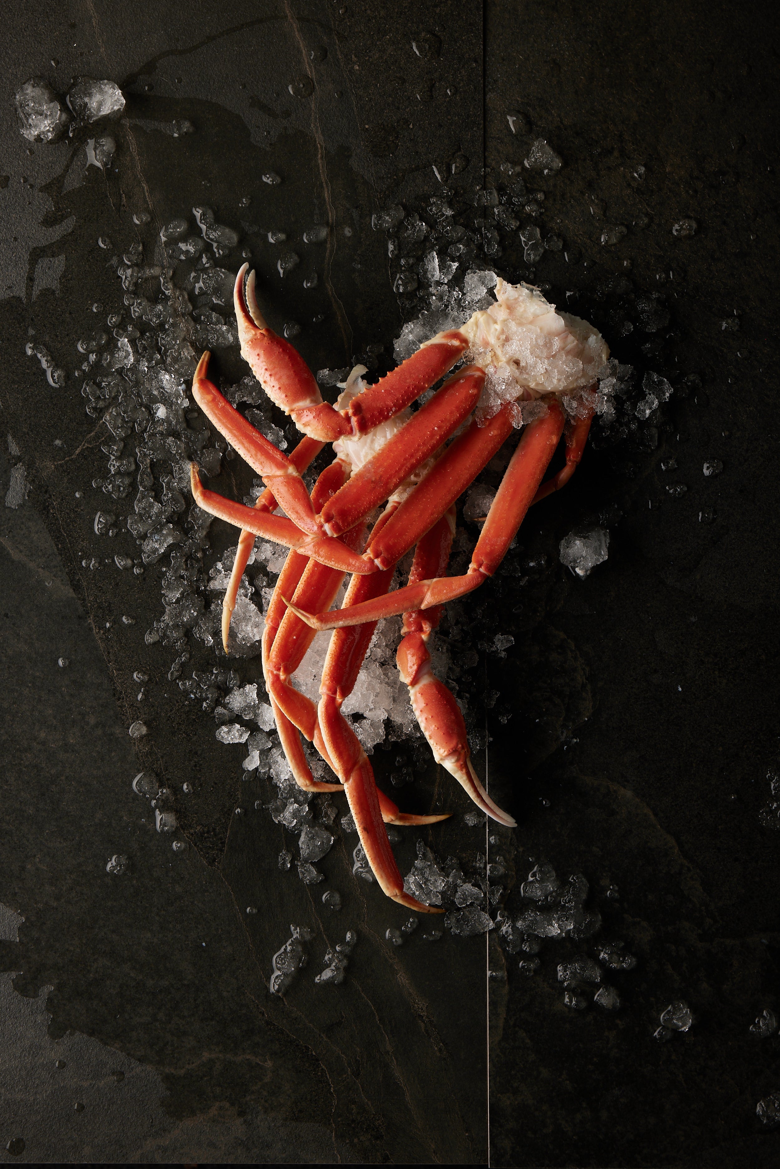 Crab Clusters - Tempus SeafoodSpecies