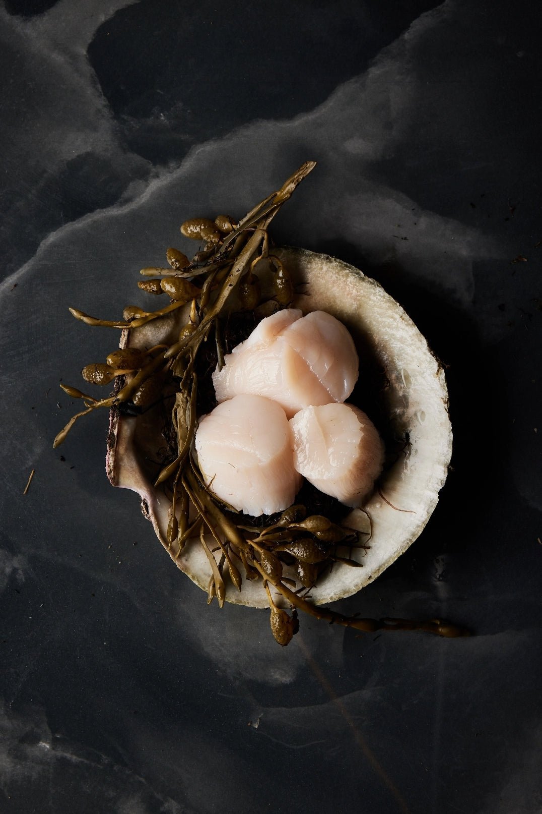 Order Chefs Dinner - Tempus SeafoodExperience