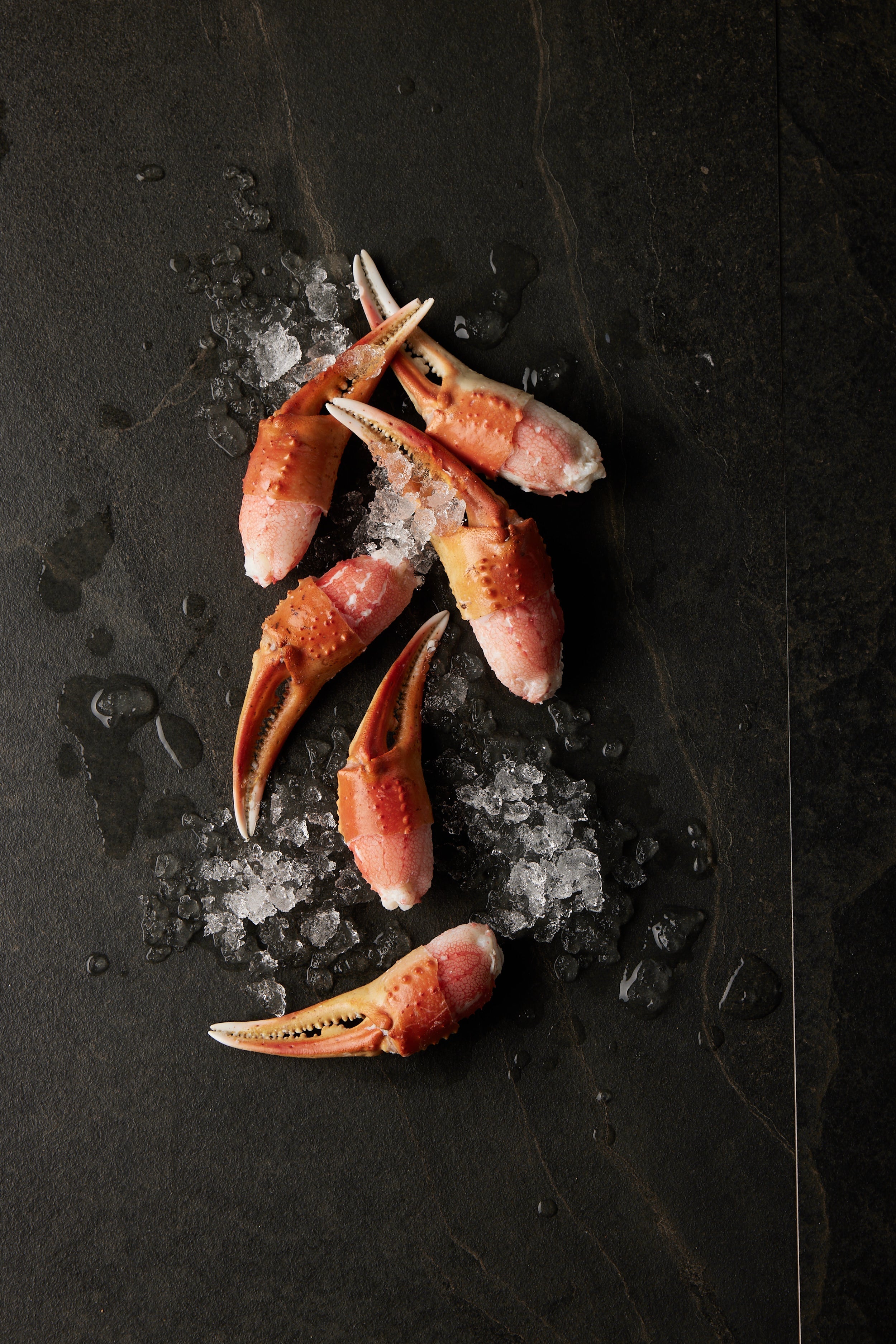 Snow Crab Claws - Tempus SeafoodSpecies